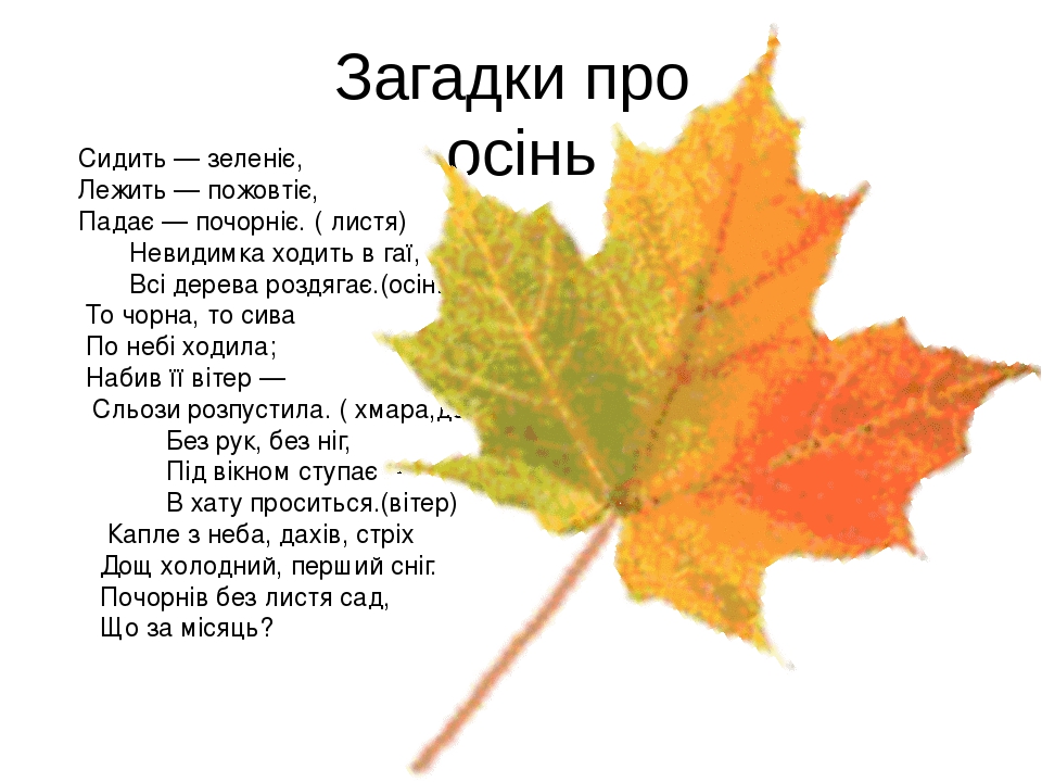 Загадки про осень для школьников 3: Страница не найдена - Академия "Мульти Мама"