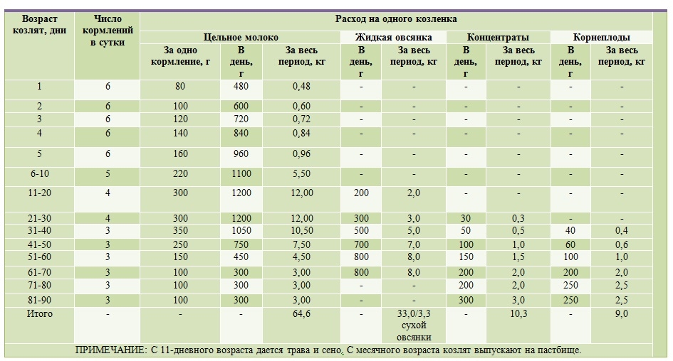 Кормление козлят от рождения до взрослого возраста: основные этапы и рекомендации