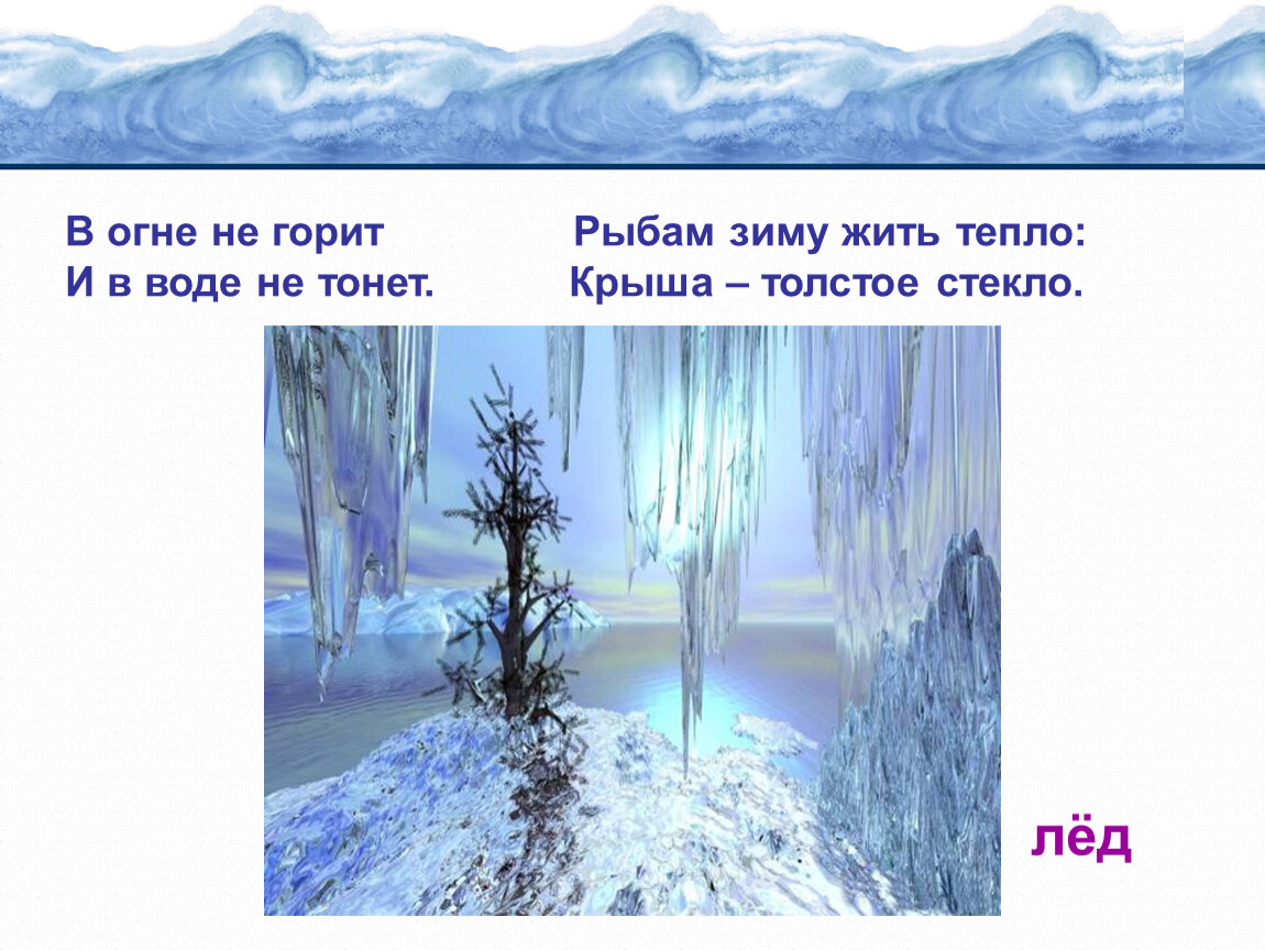 Какое дерево не горит не гниет не тонет: "Железное дерево" лиственница: и в воде тонет, и в огне не горит