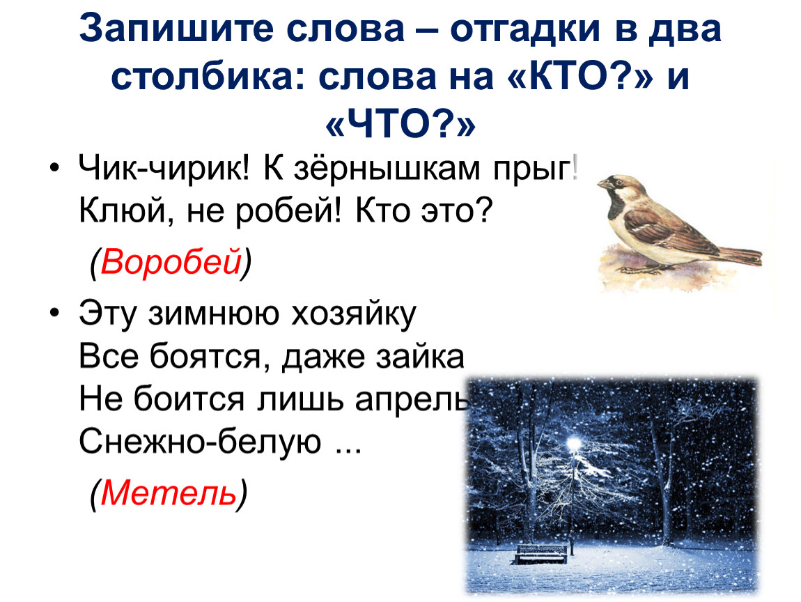 На десять братьев двух шуб хватит отгадка: Какой ответ загадки на десять братьев двух шуб хватит