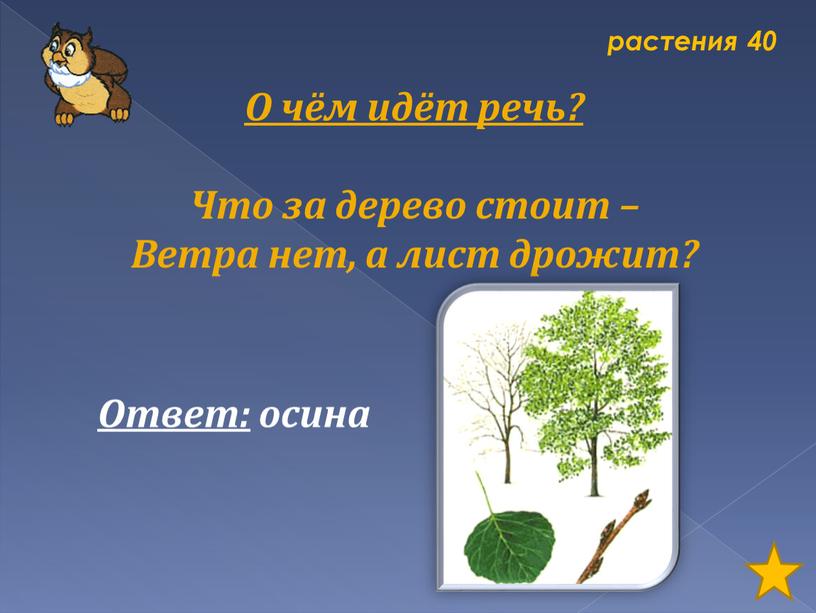 Что за дерево стоит ветра нет оно дрожит загадка ответ: Отгадать загадку. Что за дерево стоит?ветра нет а лист дрожит.