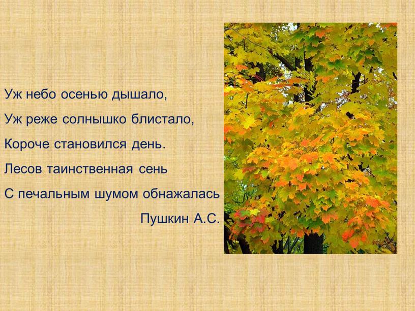 Стих осень наступила стали дни короче: Алексей Плещеев - Осенняя песенка: читать стих, текст стихотворения полностью