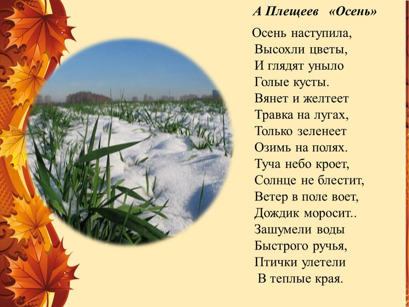 Стих осень наступила стали дни короче: Алексей Плещеев - Осенняя песенка: читать стих, текст стихотворения полностью