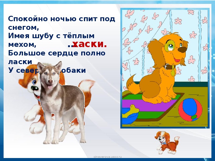 На десять братьев двух шуб хватит отгадка: Какой ответ загадки на десять братьев двух шуб хватит