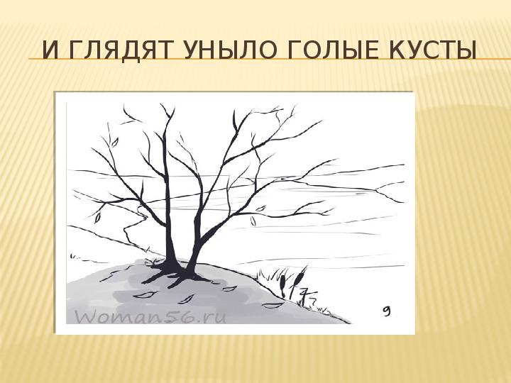 Плещеев осень наступила высохли цветы текст: Осень наступила, высохли цветы — Плещеев. Полный текст стихотворения — Осень наступила, высохли цветы