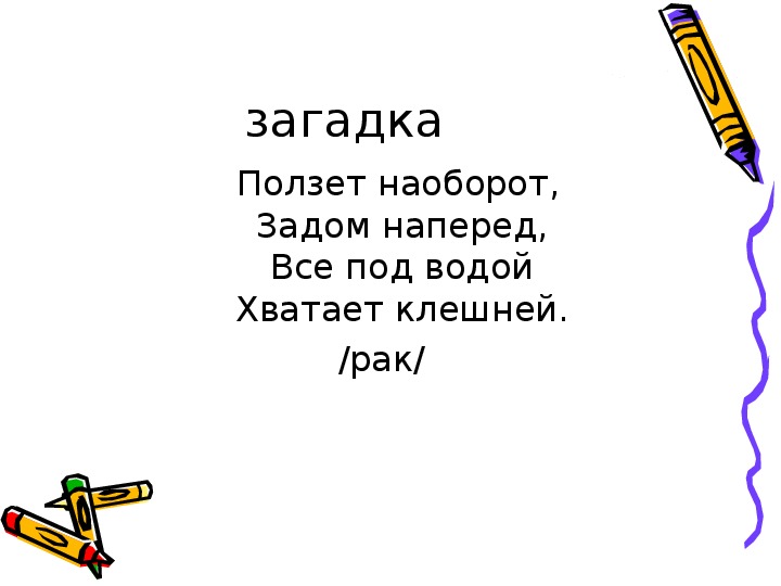 Загадки про учителей разных предметов: Загадки про школу с подвохом (40 штук)