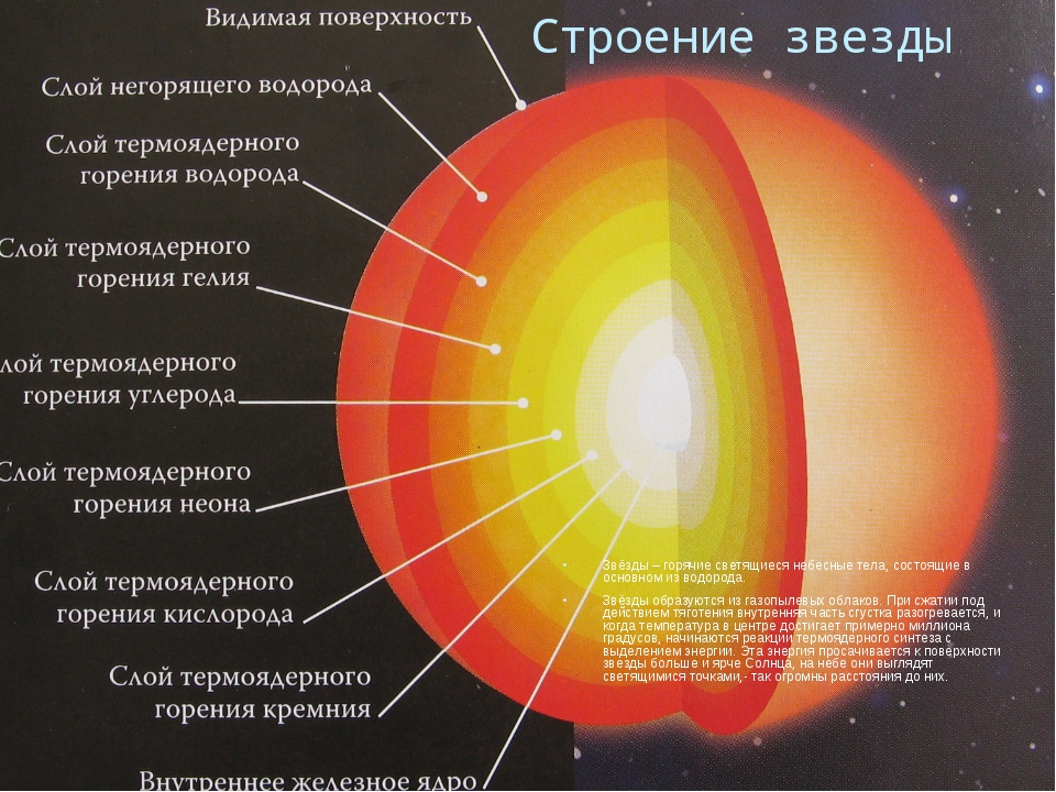 Из чего состоит звезда на небе: 15 самых ярких звезд в небе | На основе видимой величины