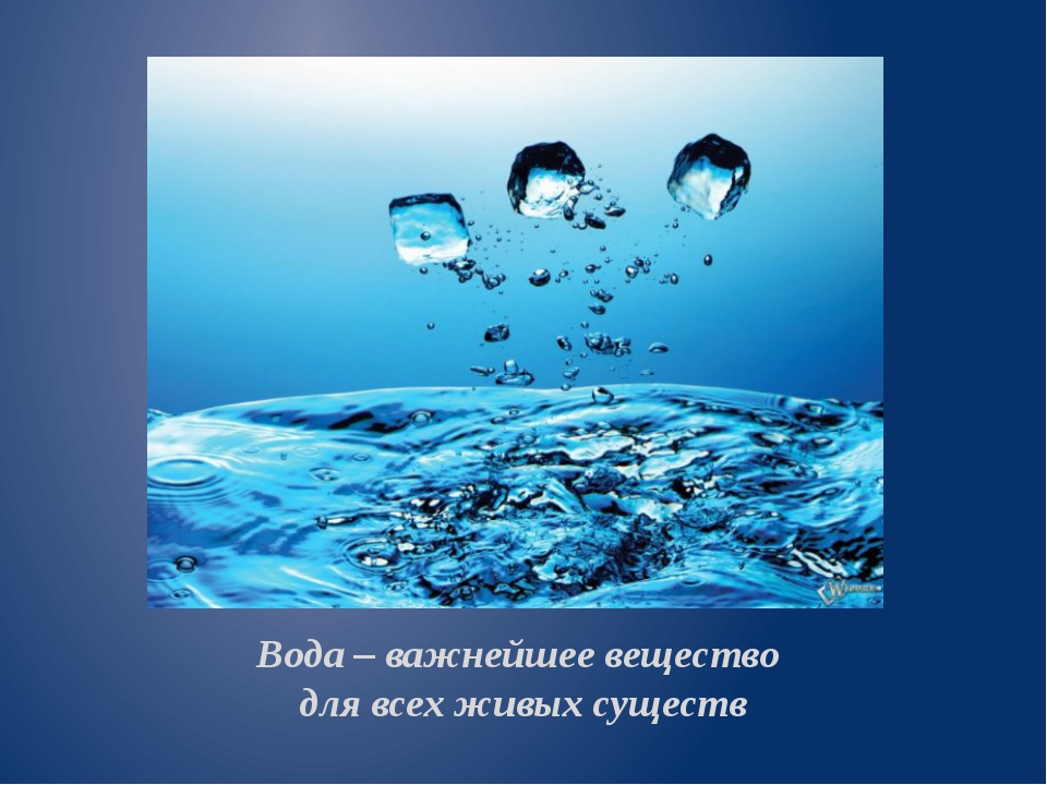 Что это кругом вода а с питьем беда: Отгадайте загадку кругом вода, а с питьем беда ? Срочно ;​