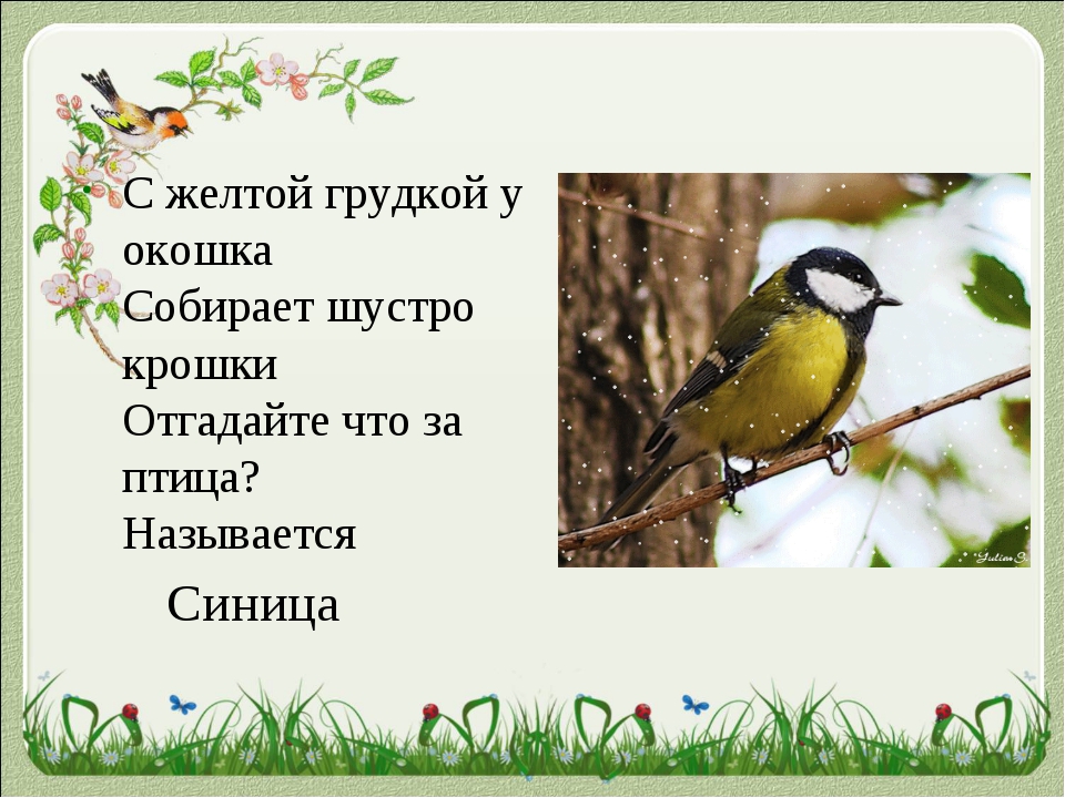 Стихотворение на птичку: Птичка — Пушкин. Полный текст стихотворения — Птичка