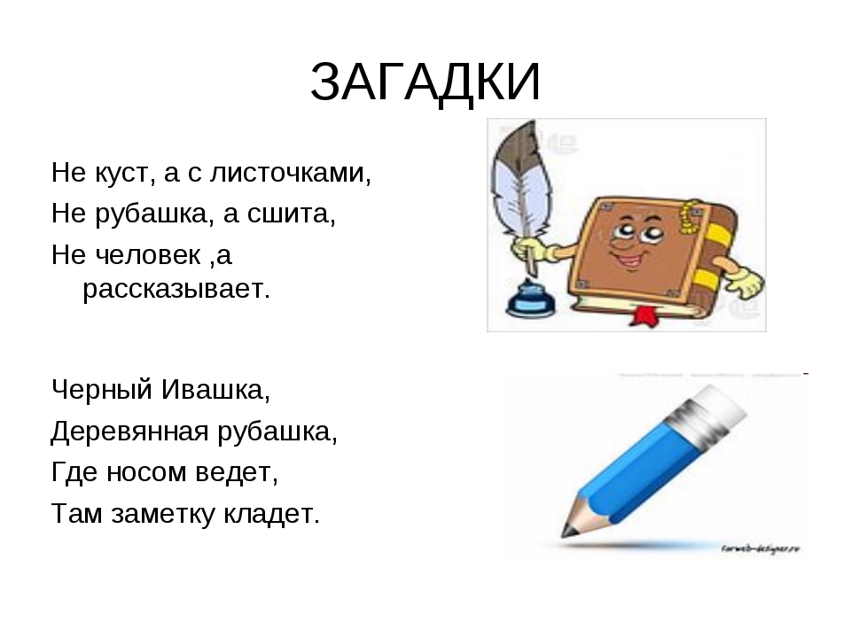 Загадки про учебу с ответами для 5 класса: Загадки с ответами для школьников 5 класса – Рамблер/класс