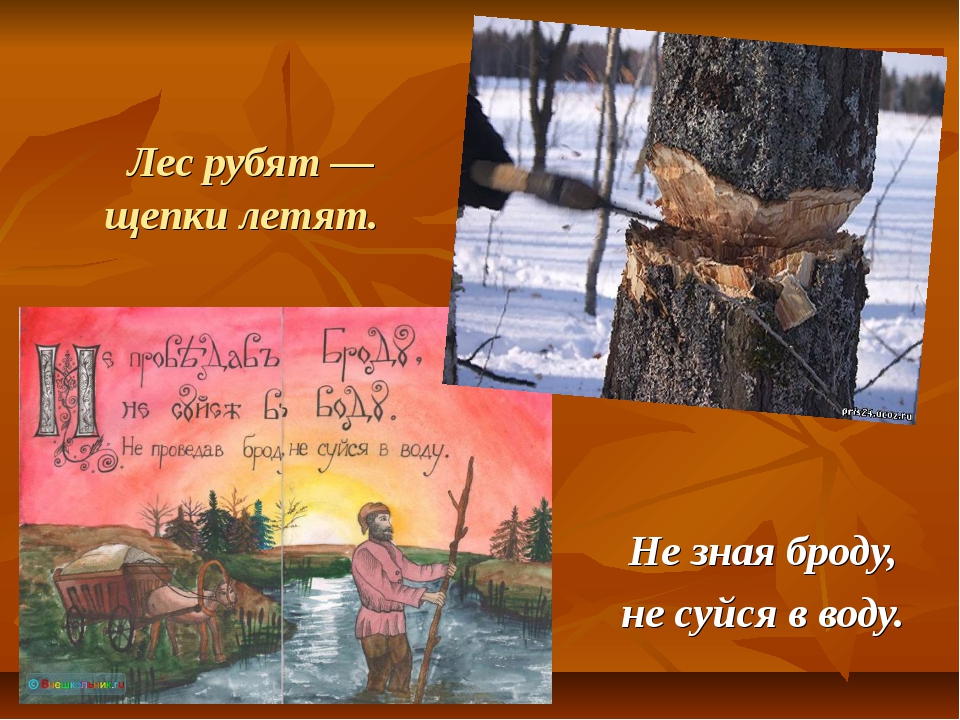 Пословица рубят лес: Значение пословицы «Лес рубят - щепки летят». Интересные факты :: SYL.ru