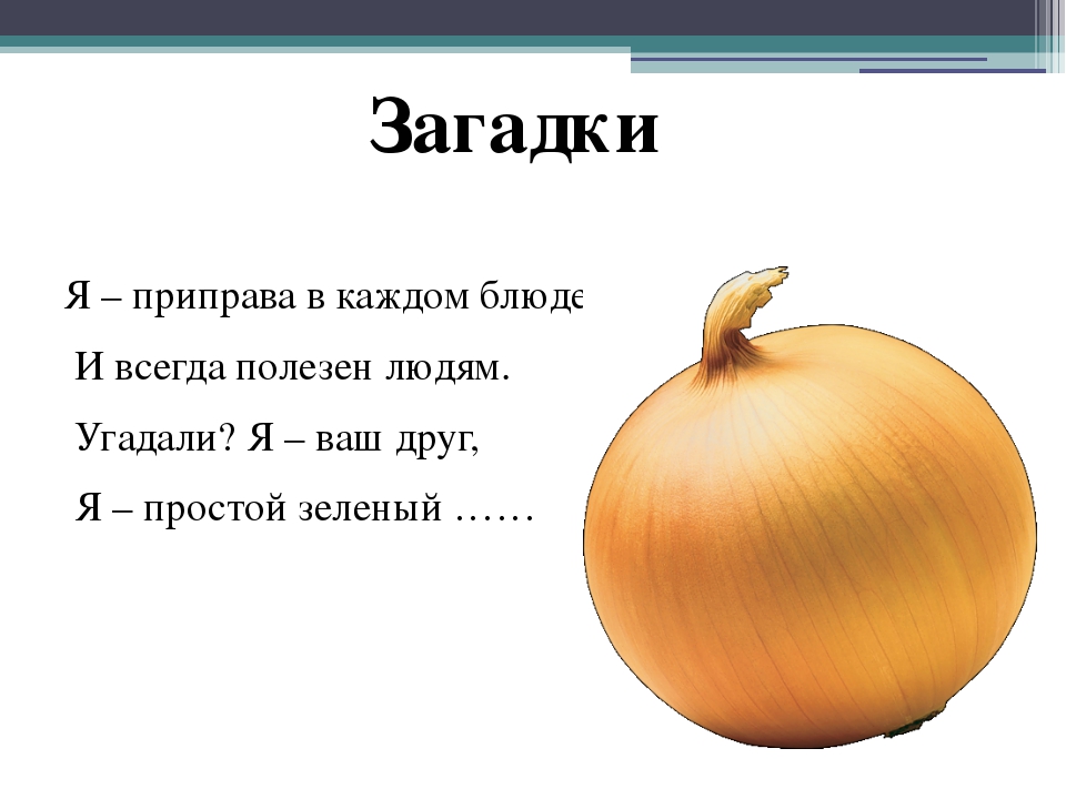 Загадки с ответами для детей белорусские: Легкие загадки на белорусском языке. Качать белорусские загадки с отгадками на белорусском языке