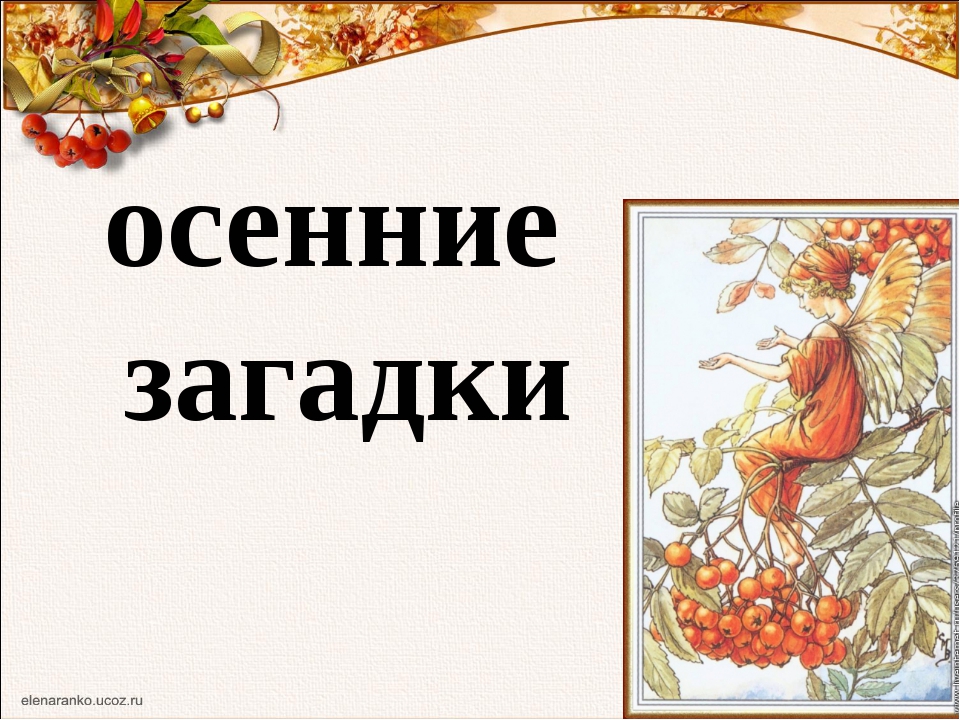 Загадки об осени с ответами сложные: Загадки про осень для дошкольников и школьников с ответами