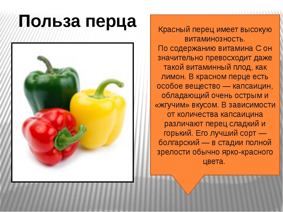 С какого возраста детям можно перец болгарский: С какого возраста можно давать болгарский перец ребенку