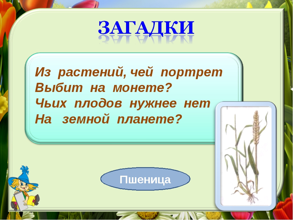 Загадки о таланте: Ошибка 502. Сайт временно недоступен