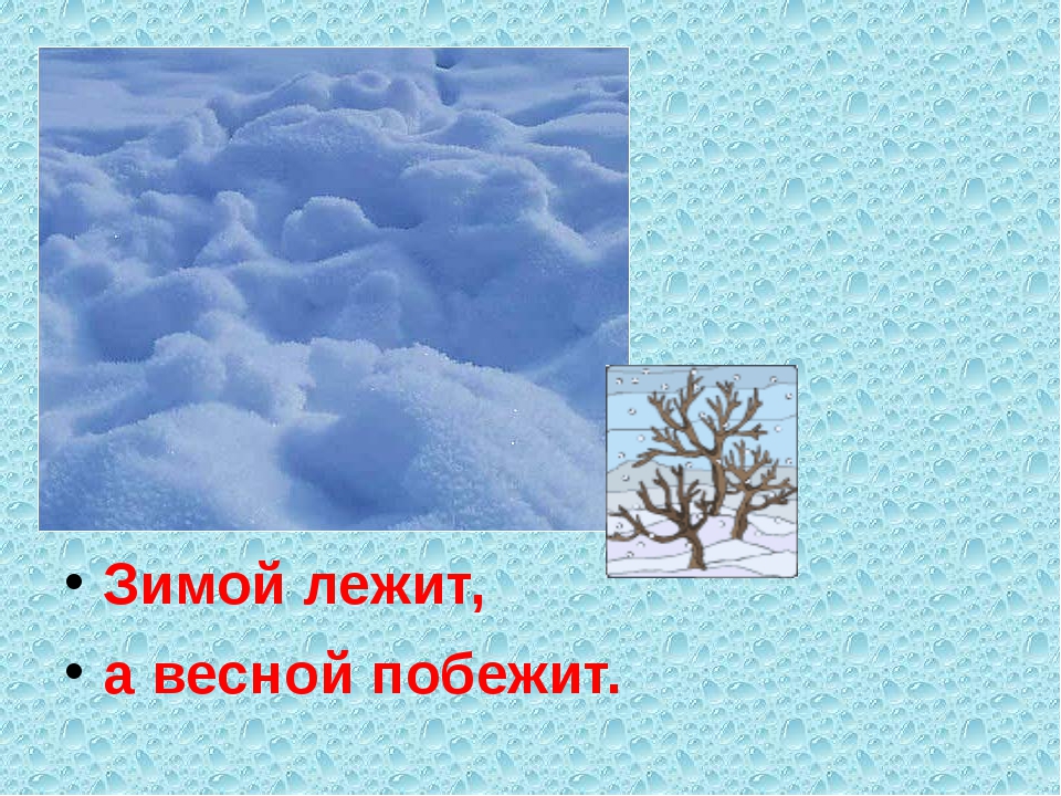 Загадка зимой лежал весной побежал: загадка зимой на земле лежал А весной в реку побежал