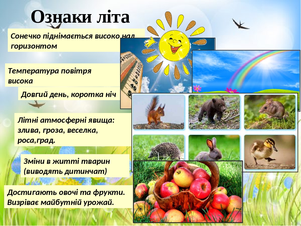 Вірші короткі про літо: Стихи про лето на украинском языке. Украинские стихотворения на тему лето для детей.