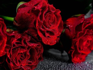 Собирать пазл Красные розы онлайн