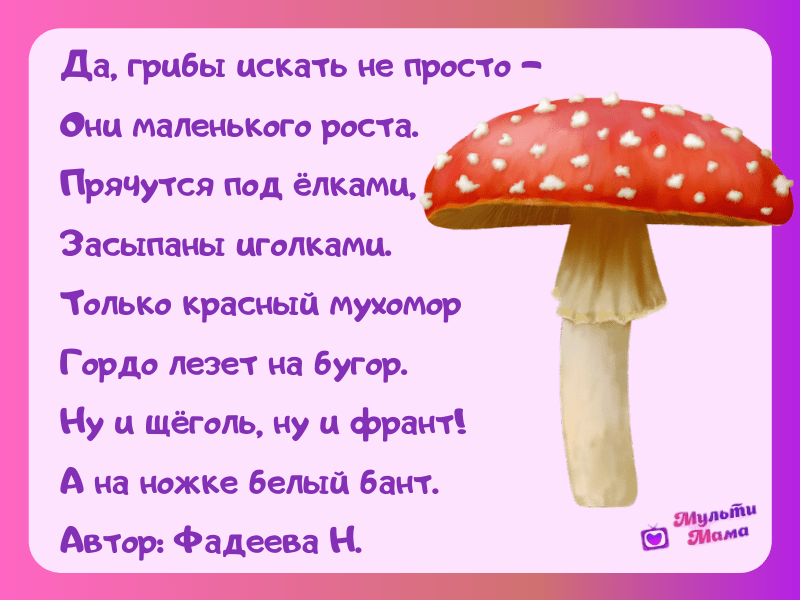 Загадки про грибы с ответами для 7 класса: Загадки про грибы с ответами