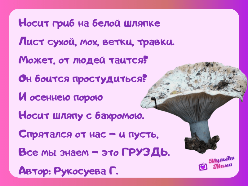 Загадки про грибы с ответами для 7 класса: Загадки про грибы с ответами