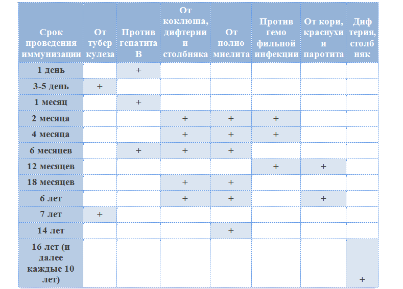 План прививок детям в россии: График прививок детям до года, какие плановые привики делают грудничкам