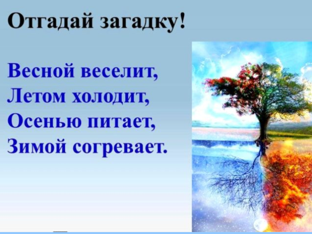 Загадка весной веселит летом холодит осенью питает зимой согревает отгадка: Загадка:Весной веселит,летом холодит,осенью питает,зимой согревает.