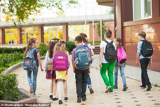 Children as young as six are being taught about touching or ¿stimulating¿ their own genitals in lesson that are part of a controversial new sex and relationships teaching programme called All About Me (stock image)