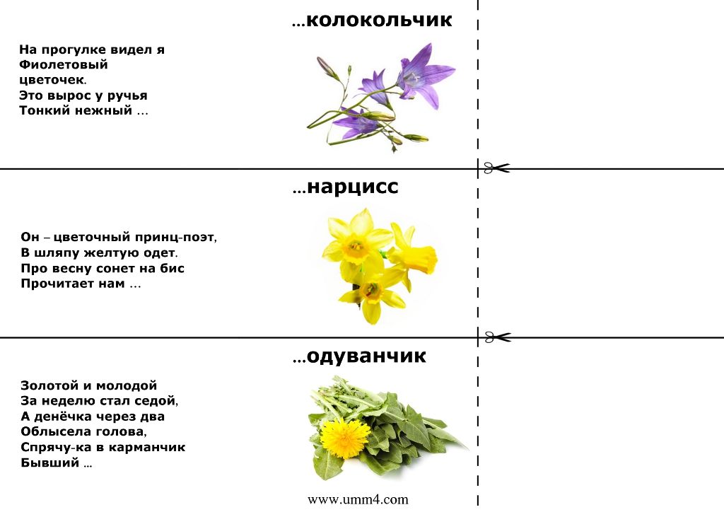 Загадки с ответами для 4 класса смешные и сложные: Загадки на смекалку с ответами