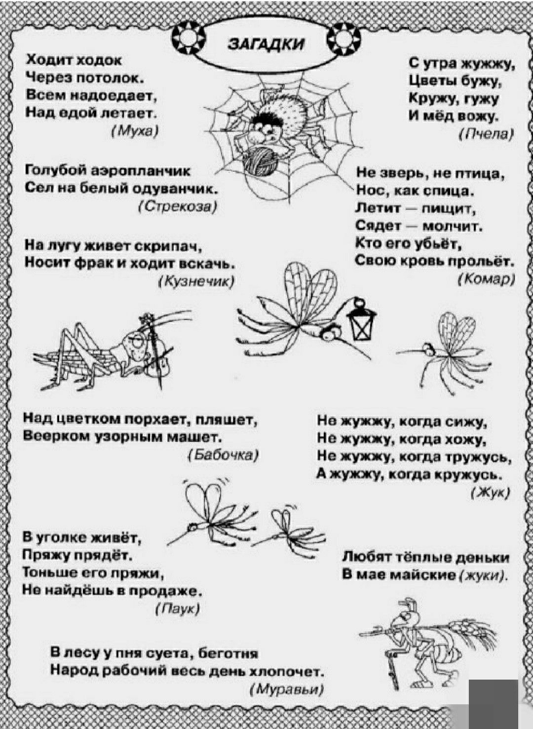 Загадки для детей 6: Загадки для детей 6 лет с ответами