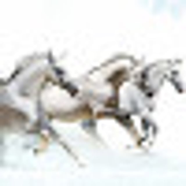 3 белых коня: Скачать бесплатно Ансамбль Детские Песни - Три белых коня в MP3