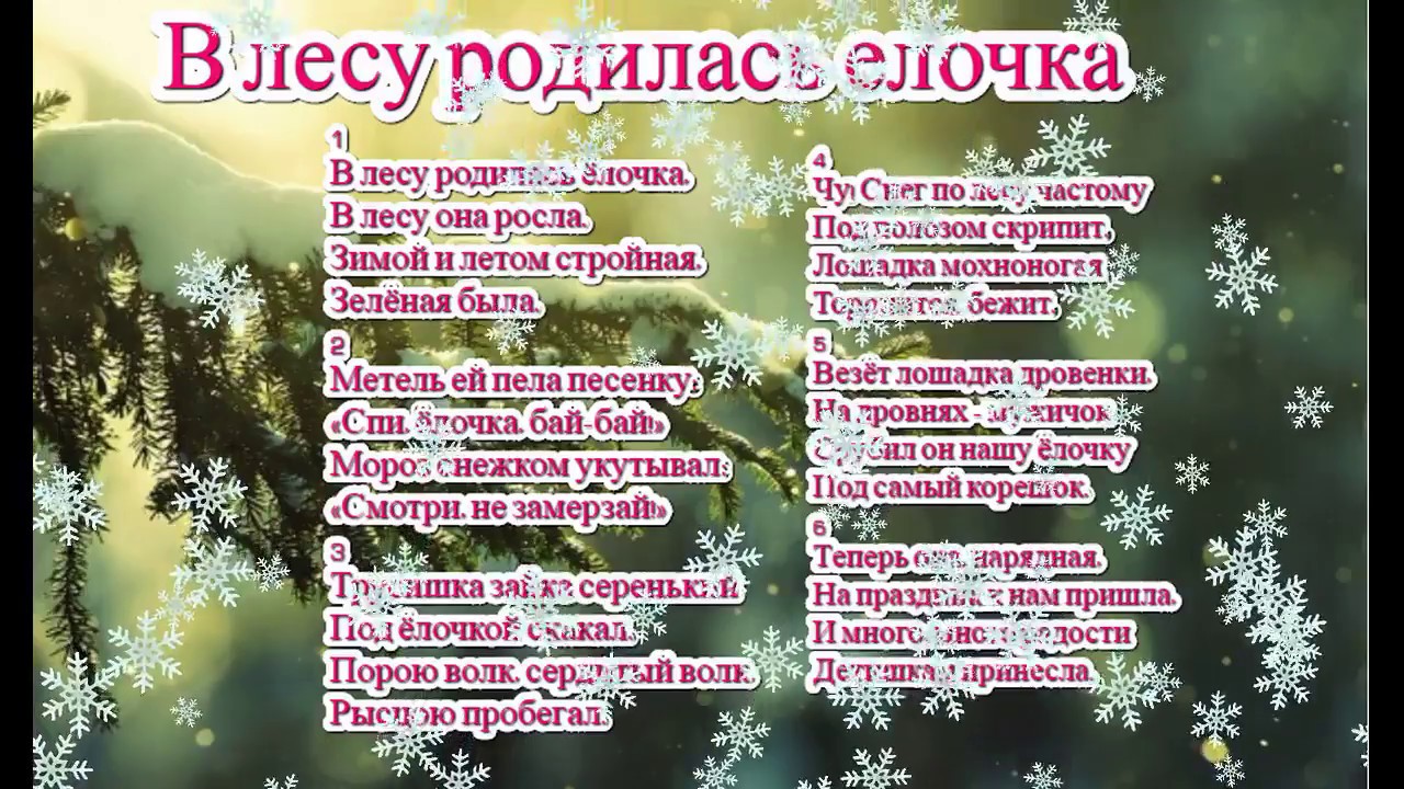 Песня в лесу родилась: Песня В лесу родилась елочка слушать онлайн и скачать