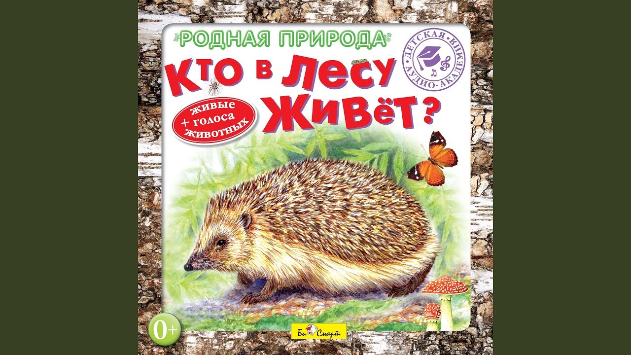 Родилась в лесу живет в воде 5 букв: «В лесу родилась, а в воде живёт» (загадка), 5 (пять) букв