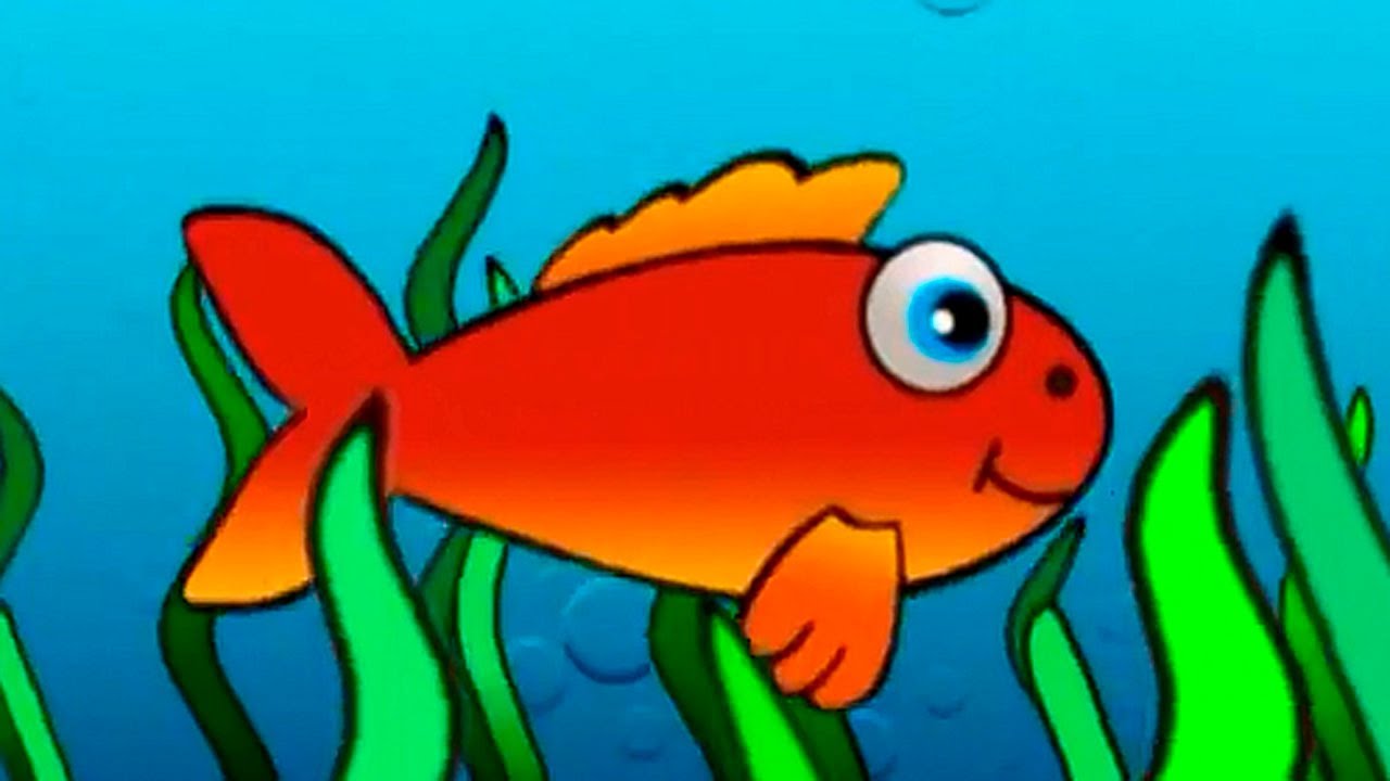 Про рыбок для детей: Детям О Рыбах Видео