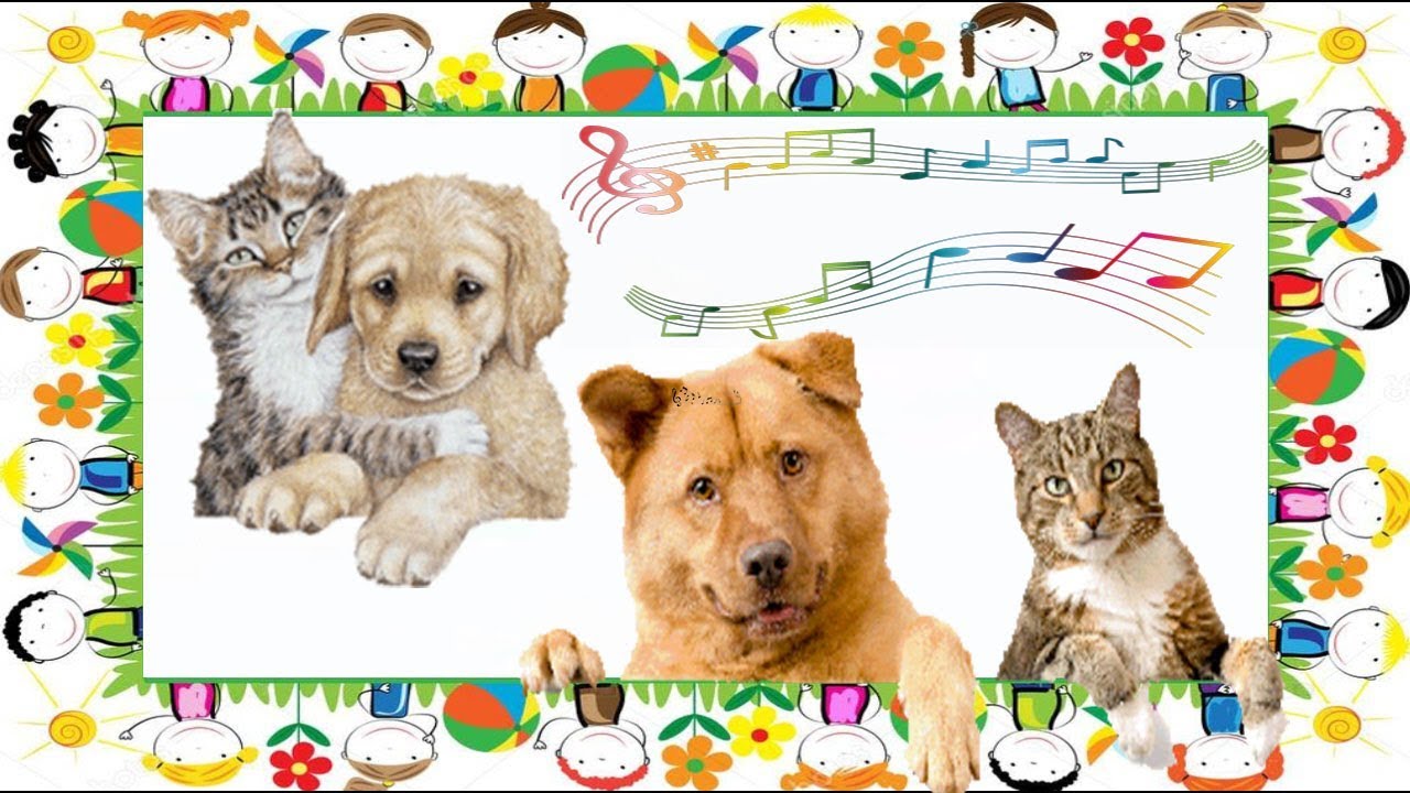Музыка для детей о животных: Песни про животных - слушать и скачать бесплатно