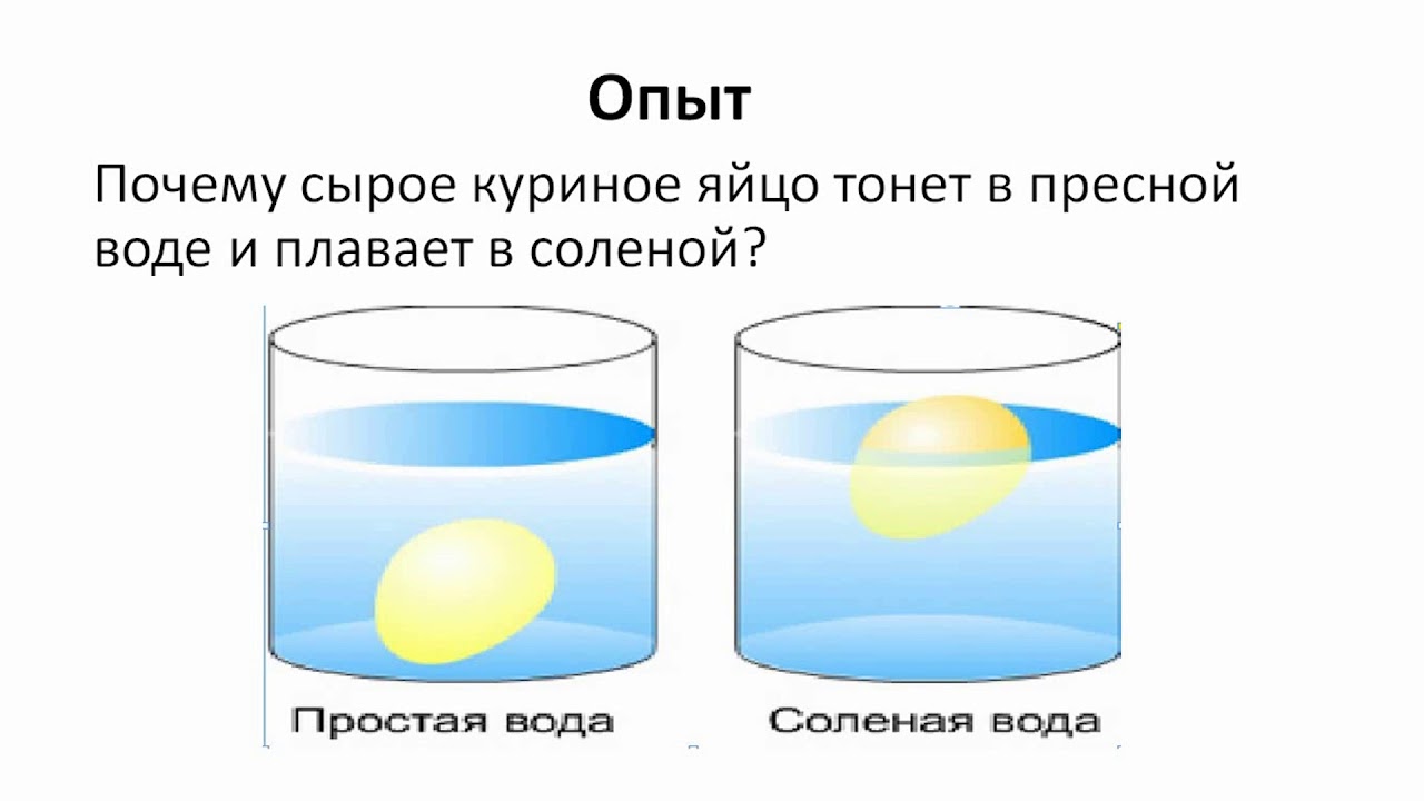 Опыты с яйцом: Опыт с резиновым яйцом для детей 3-7 лет в домашних условиях