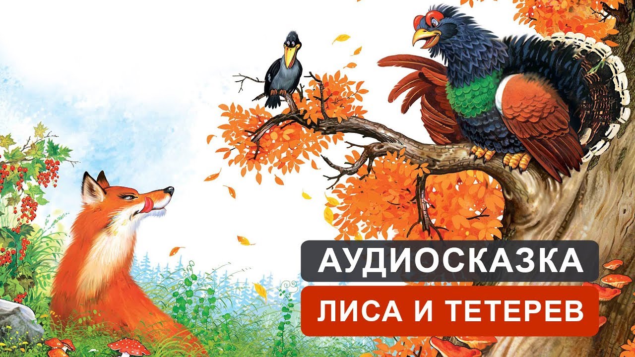 Картинка сказки лиса и тетерев: Лиса и тетерев русская народная сказка читать