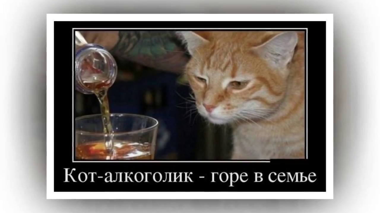 Выпьем с горя где же: Зимний вечер (Пушкин) — Викитека