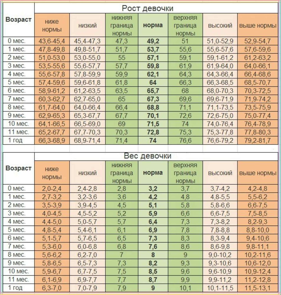Рост и вес девочки в 10 месяцев: нормы развития и советы по уходу