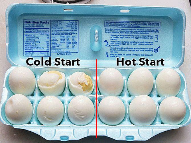 Почему яйцо всплывает: 4 простых способа проверить свежесть яиц