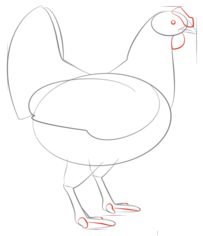Курицу рисуем: Как нарисовать курочку поэтапно? ♥ Рисунки карандашом поэтапно
