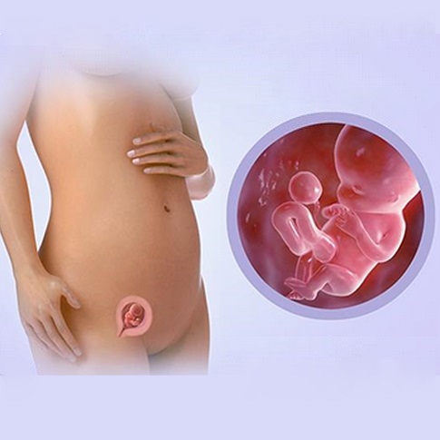 Фото груди на ранних сроках беременности фото: симптомы и ощущения, признаки и что происходит, можно ли определить беременность