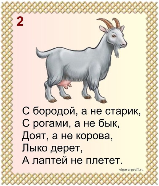 Загадка про козла: Загадки про козу | Для детей загадки о козе