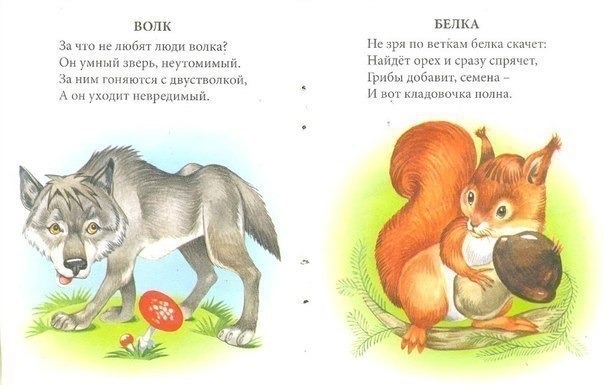 Загадки о домашних и диких животных с ответами: Загадки про домашних и диких животных для детей с ответами