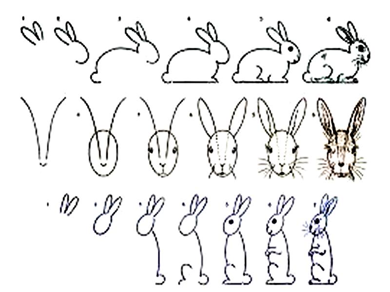 Как рисовать карандашом поэтапно зайца: Как нарисовать кролика поэтапно карандашом (49 фото)