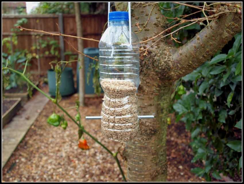 Кормушки для птиц своими руками фото из пластиковых бутылок: как сделать ее из 2-литровой пластмассовой бутылки своими руками пошагово? Как украсить кормушку?