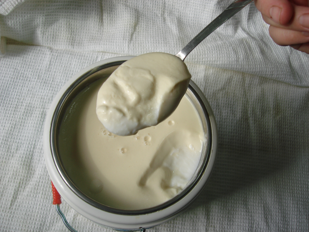 Почему йогурт получился жидким в йогуртнице: Приготовление бактериальных заквасок VIVO.