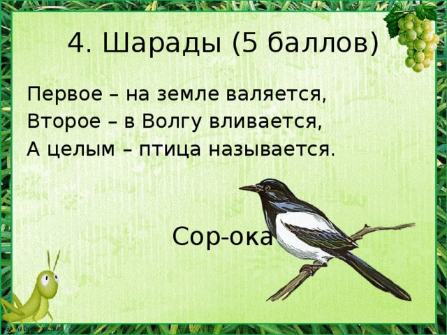 Загадки про птиц для детей с ответами: Загадки про птиц для детей с ответами