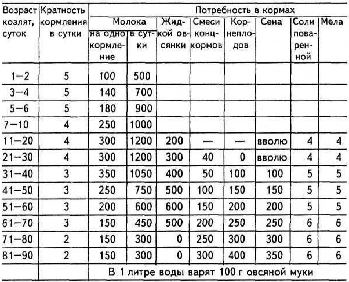 Кормление козлят от рождения до взрослого возраста: основные этапы и рекомендации