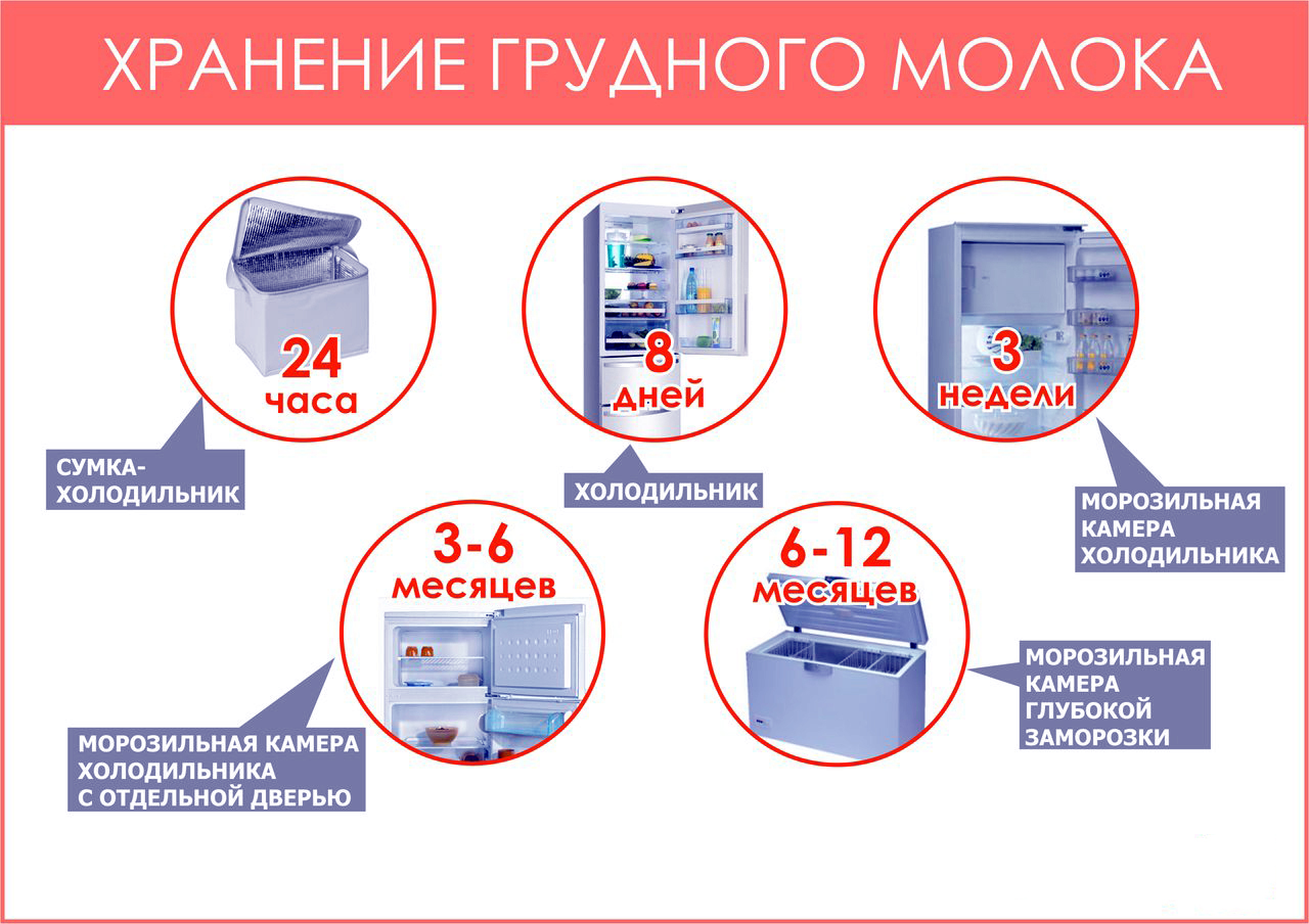 Сколько хранится молоко: сроки и условия хранения разных видов молока