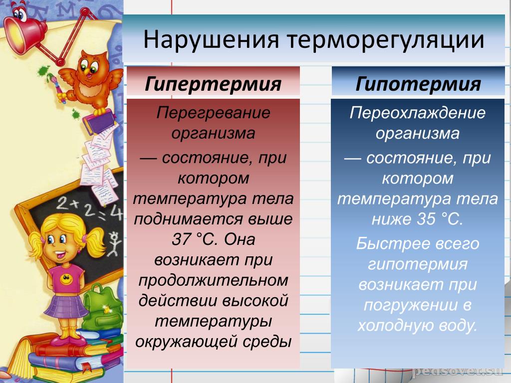 Теплообмен у новорожденных: Уход за новорожденным – терморегуляция у малышей